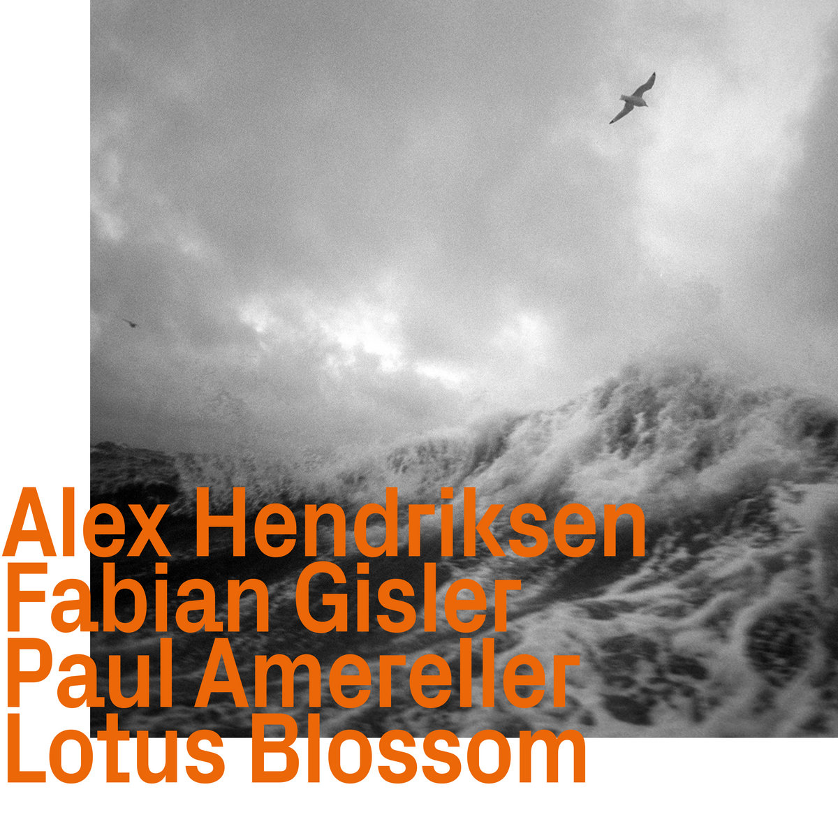 Alex Hendriksen, Fabian Gisler, Paul Amereller – Lotus Blossom